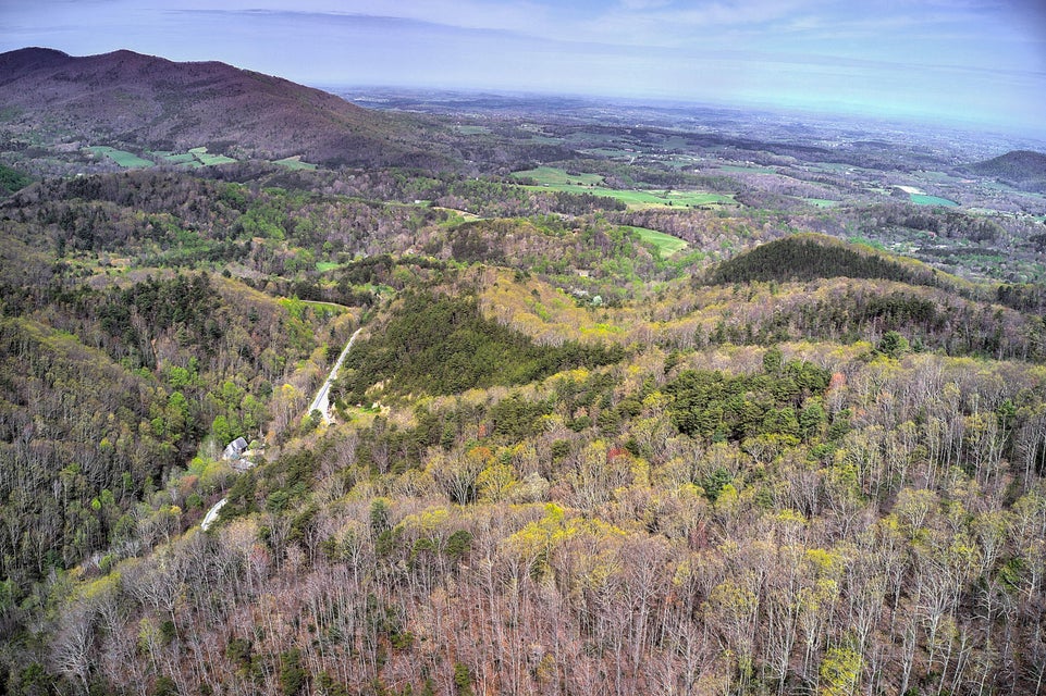 Photo #5: 00 Asheville Highway