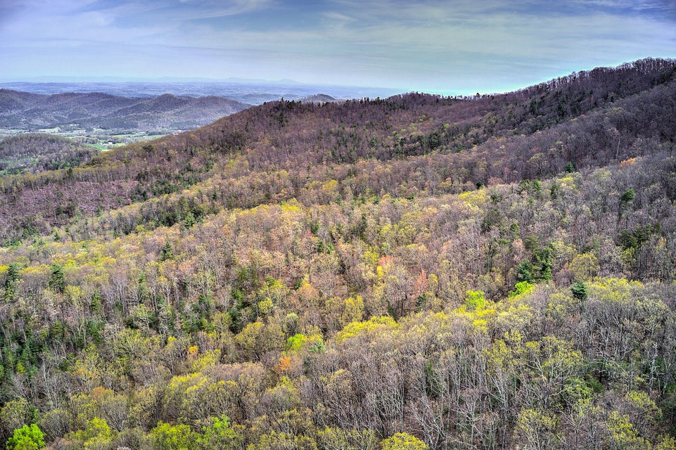 Photo #6: 00 Asheville Highway