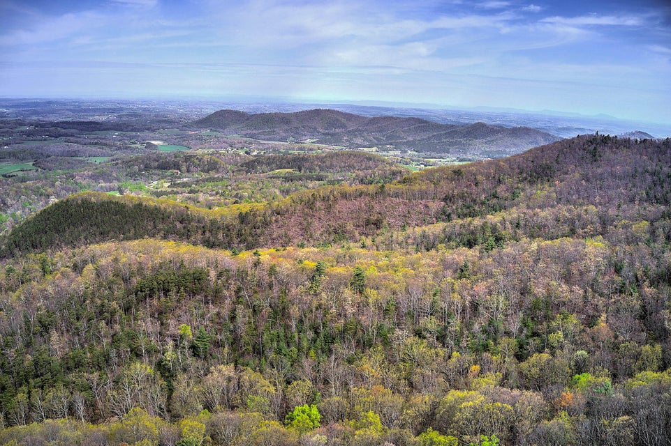 Photo #7: 00 Asheville Highway