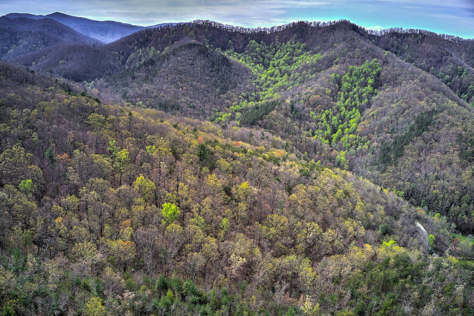 Photo #9: 00 Asheville Highway