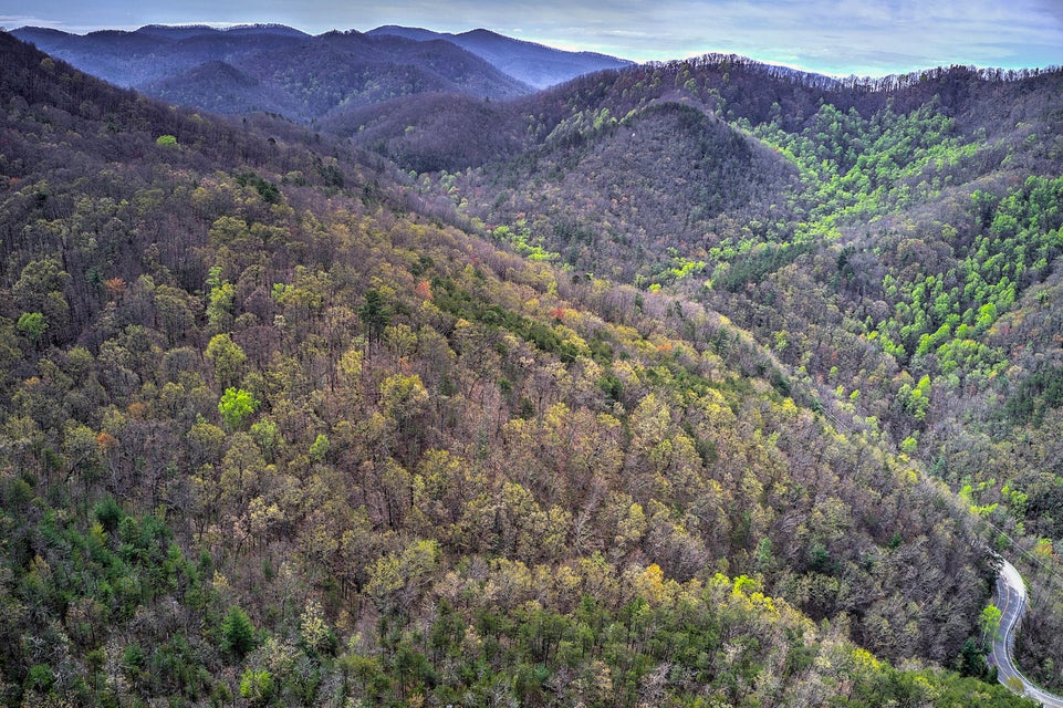 Photo #10: 00 Asheville Highway