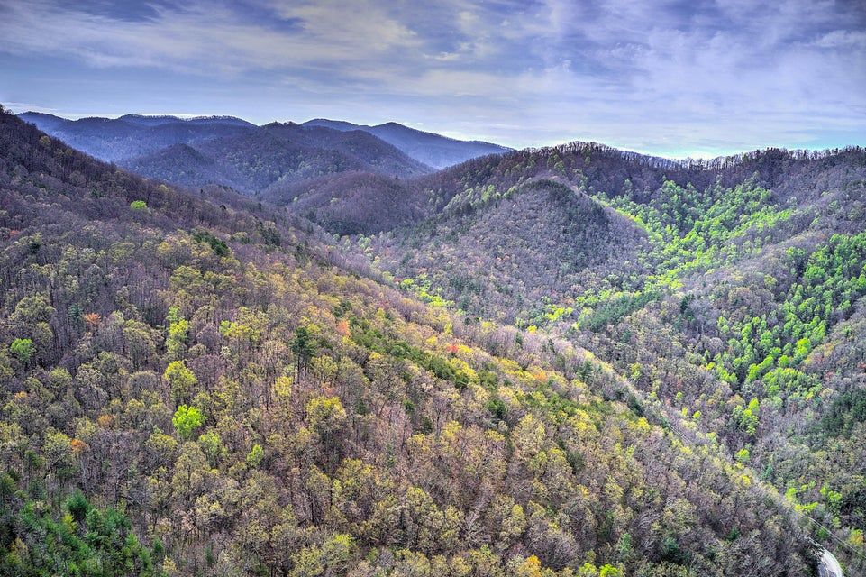 Photo #11: 00 Asheville Highway