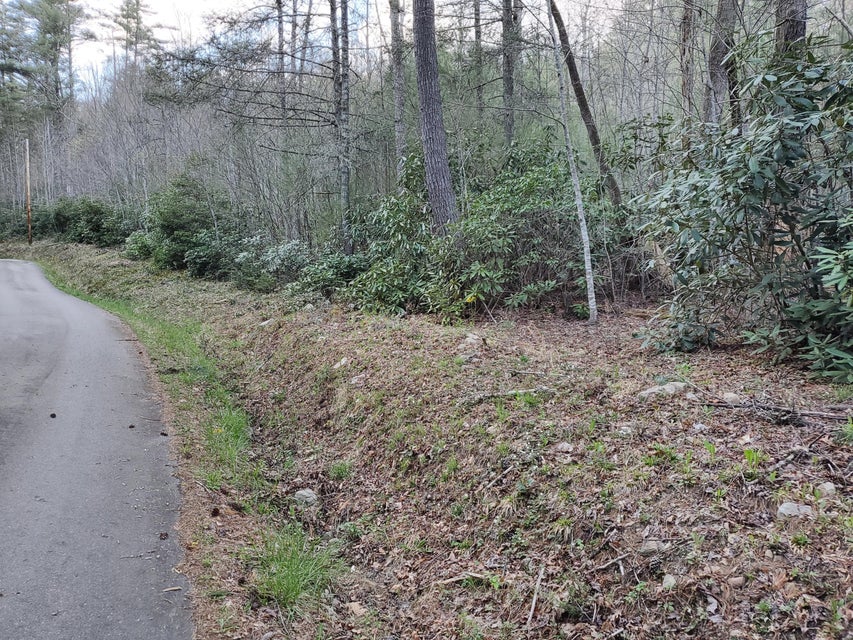 Photo #2: Tbd Hill Street