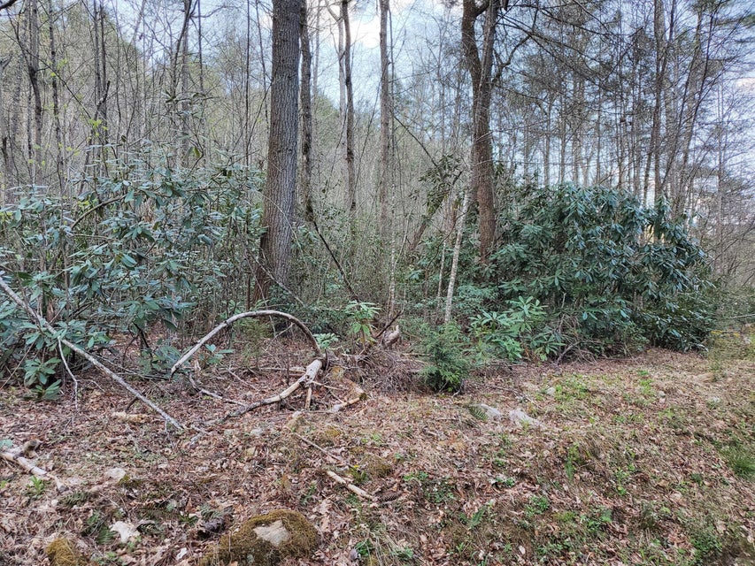 Photo #1: Tbd Hill Street