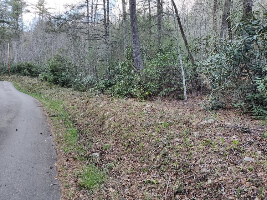 Photo #2: Tbd Hill Street