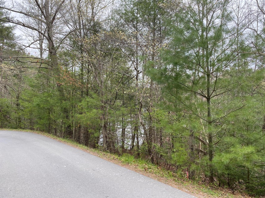 Photo #5: 0 Campbell Road