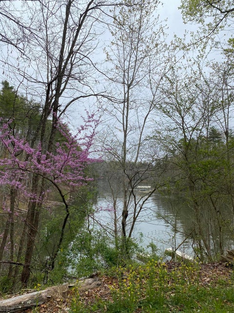Photo #1: 0 Campbell Road