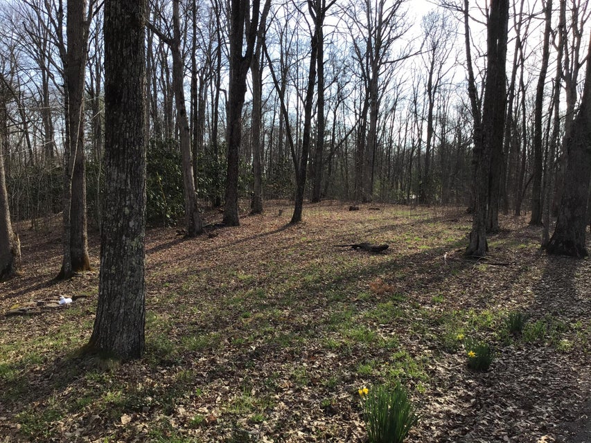 Photo #1: Tbd Edith Gap Road