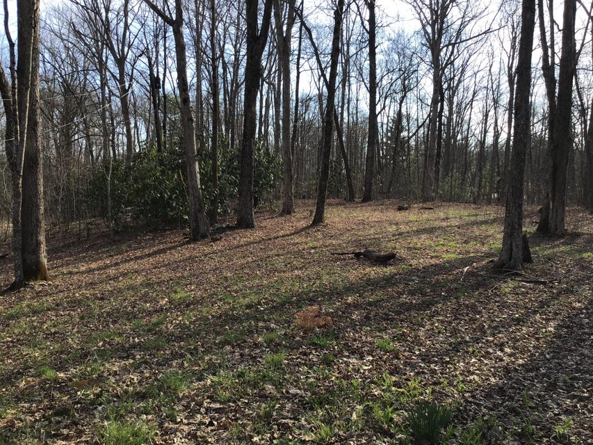 Photo #2: Tbd Edith Gap Road