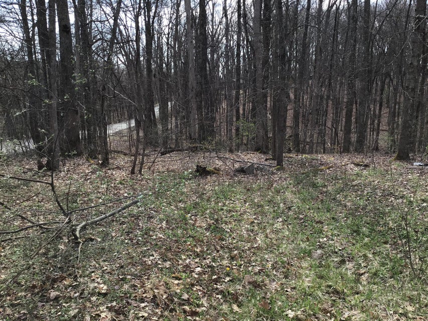 Photo #4: Tbd Edith Gap Road