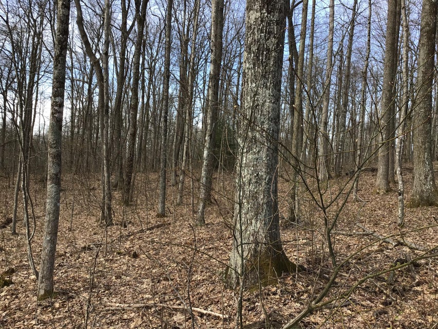Photo #3: Tbd Edith Gap Road