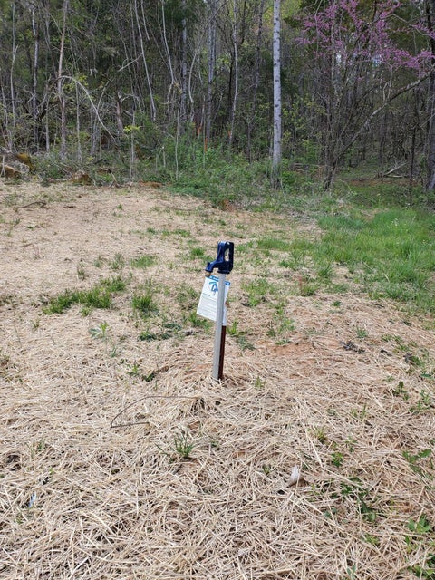 Photo #13: Tbd Boones Creek Rd Nw/Off Road