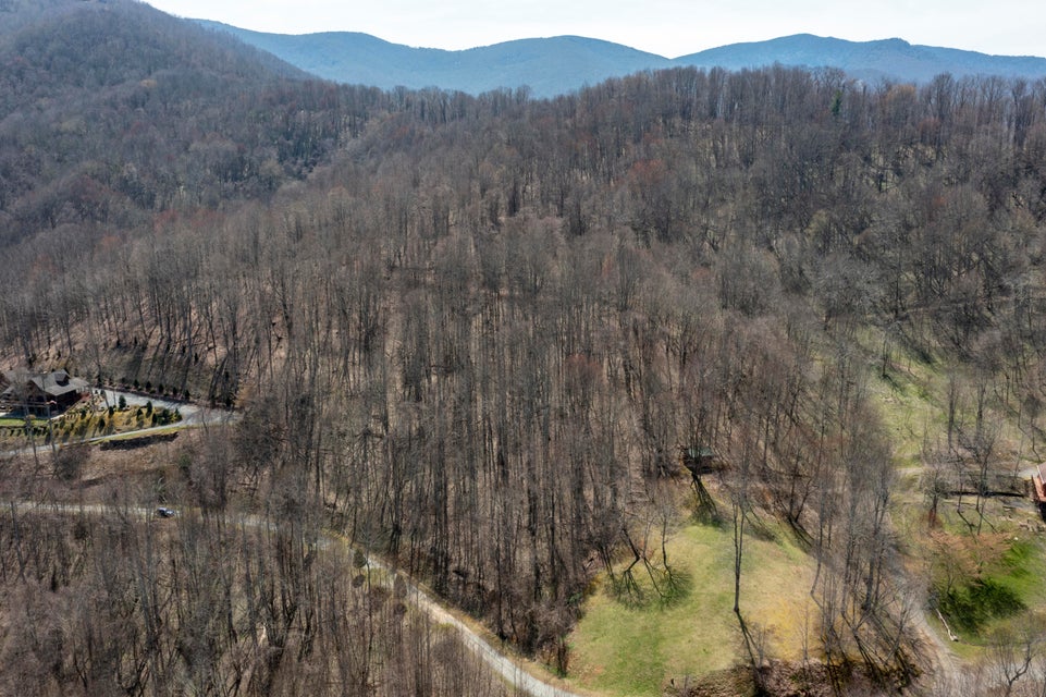 Photo #5: 00 Roan Springs Road