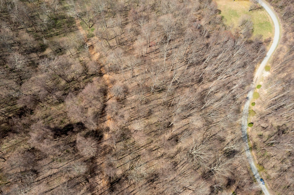 Photo #4: 00 Roan Springs Road