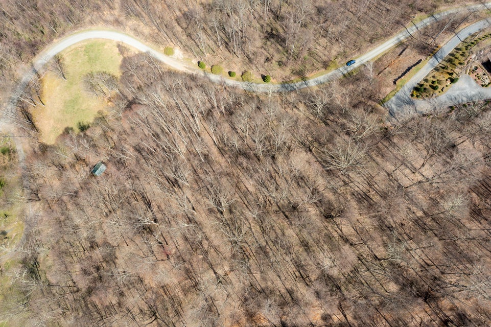 Photo #10: 00 Roan Springs Road