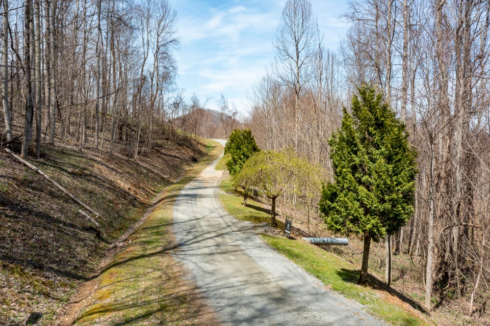 Photo #15: 00 Roan Springs Road
