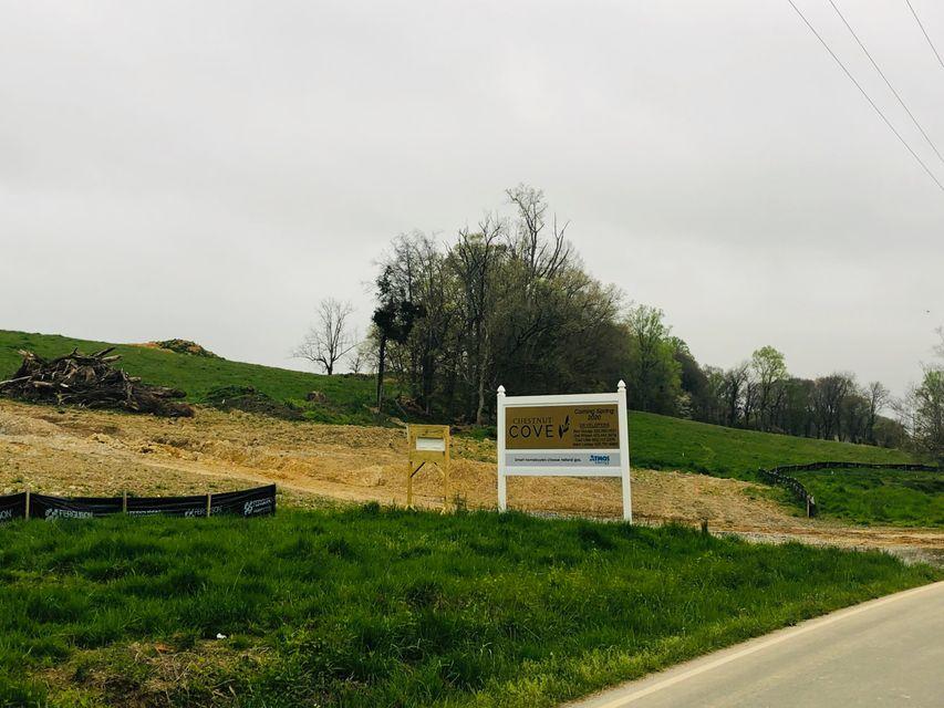 Photo #1: Lot 6 Boone Station Road