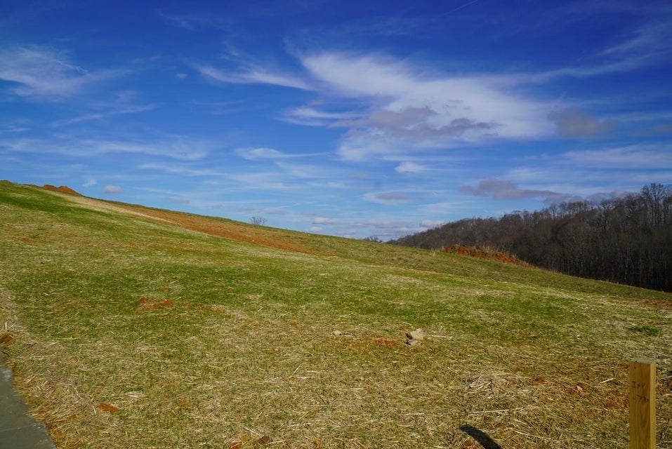 Photo #6: B15 Boone Station Road