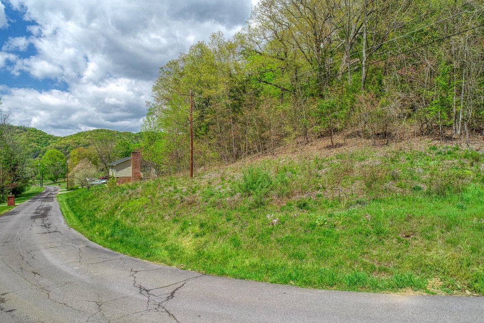 Photo #18: Tbd W Hills