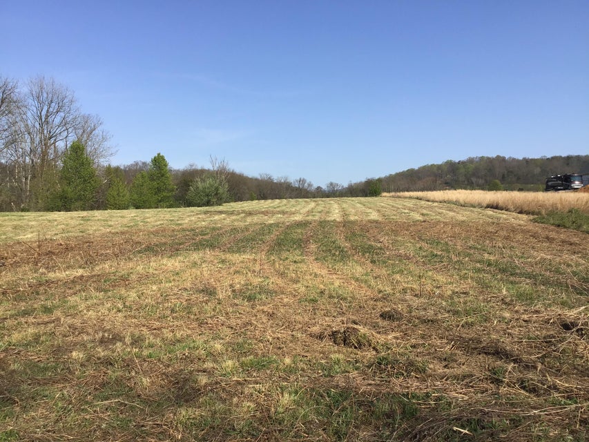Photo #2: Lot 14 Secluded River Circle