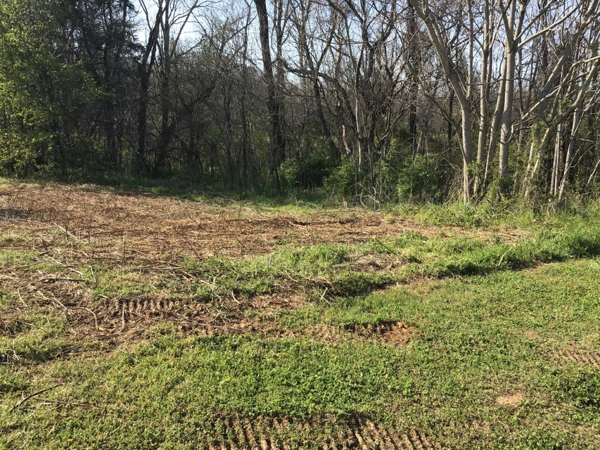 Photo #4: Lot 14 Secluded River Circle