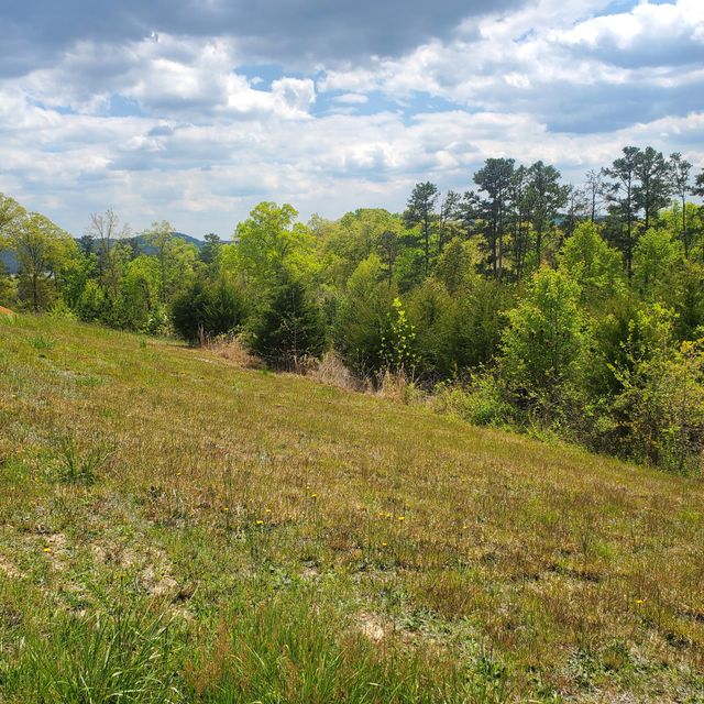 Photo #5: Lot 144 Tumbleweed Trail