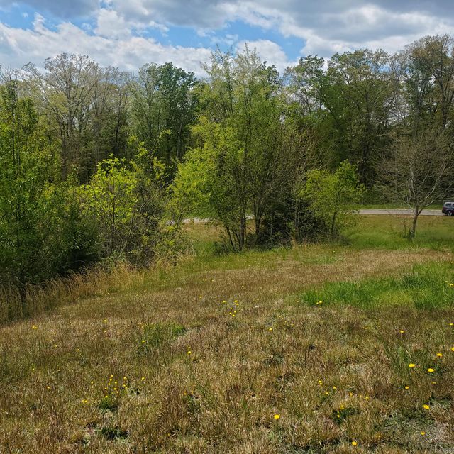 Photo #6: Lot 144 Tumbleweed Trail
