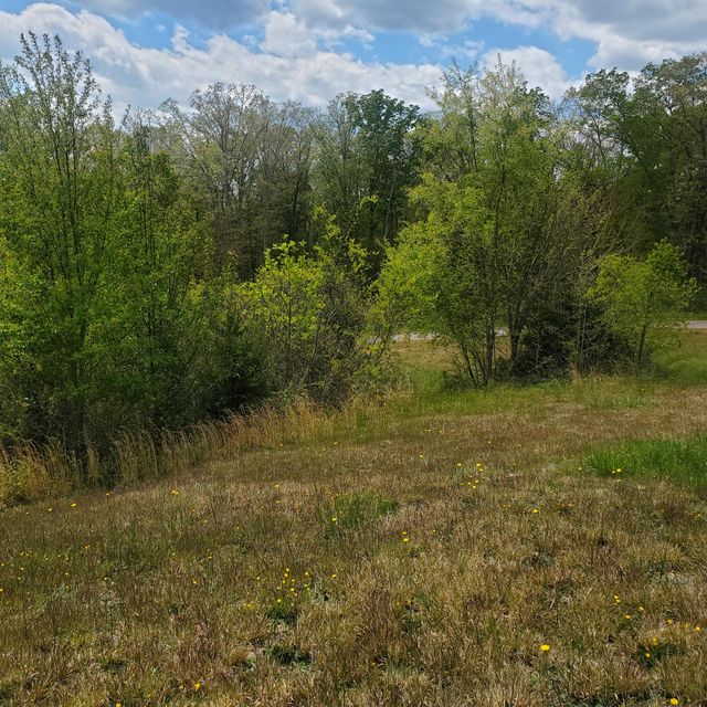 Photo #7: Lot 144 Tumbleweed Trail