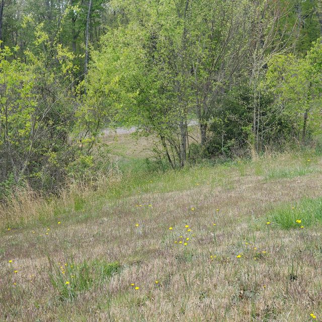 Photo #12: Lot 144 Tumbleweed Trail