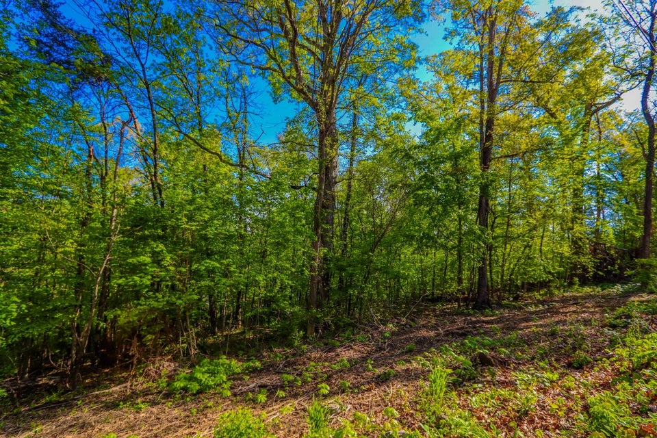 Photo #1: Lot 44-45 Cliffwood Dr