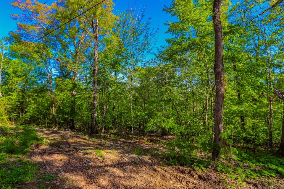 Photo #4: Lot 44-45 Cliffwood Dr 