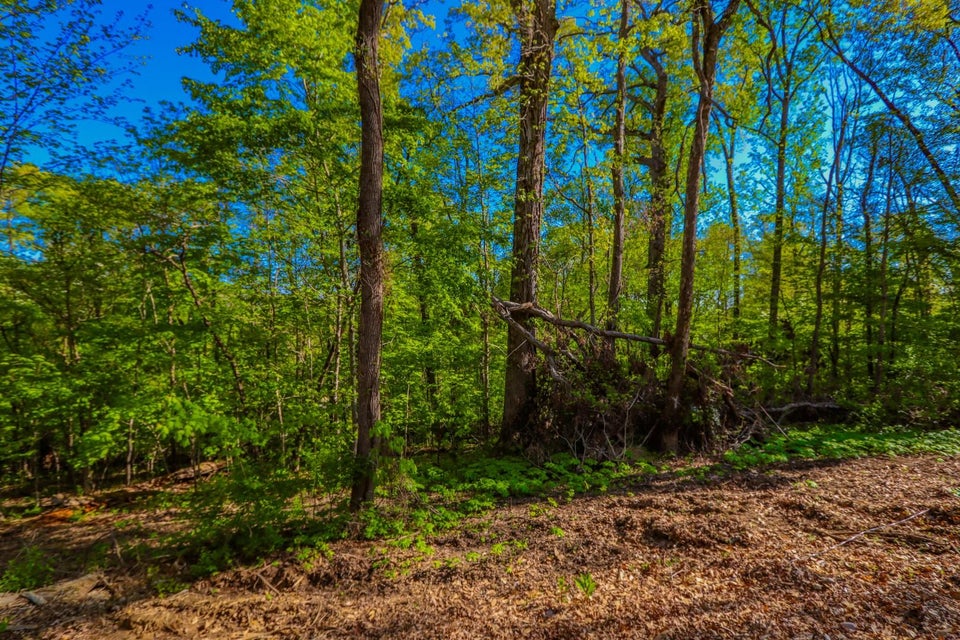 Photo #9: Lot 44-45 Cliffwood Dr 