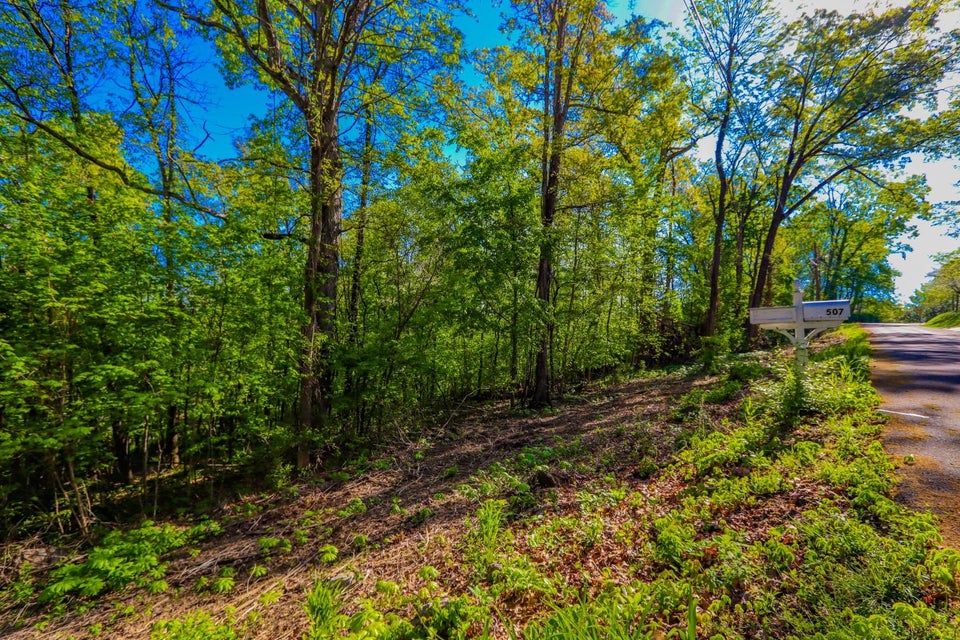 Photo #16: Lot 44-45 Cliffwood Dr 