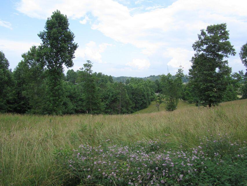 Photo #2: Lot 9 Red Bud Lane
