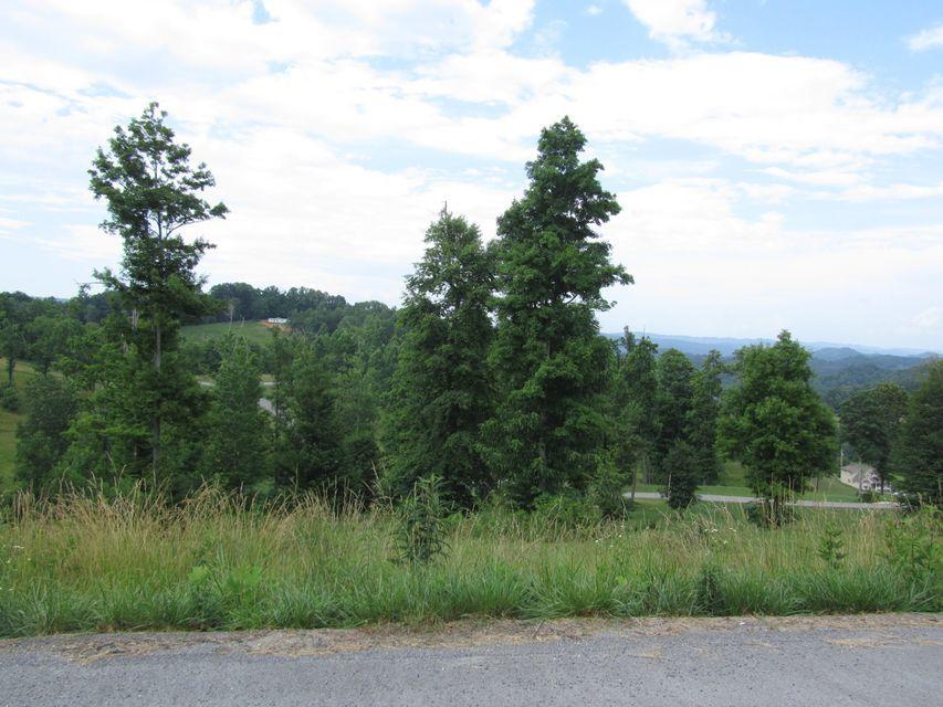 Photo #3: Lot 9 Red Bud Lane
