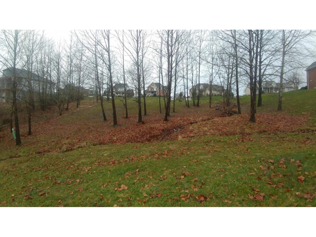 Photo #2: Lot 6 Pueblo Drive