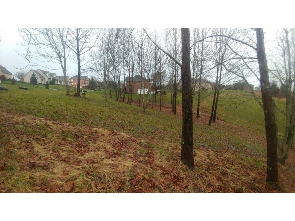Photo #3: Lot 6 Pueblo Drive
