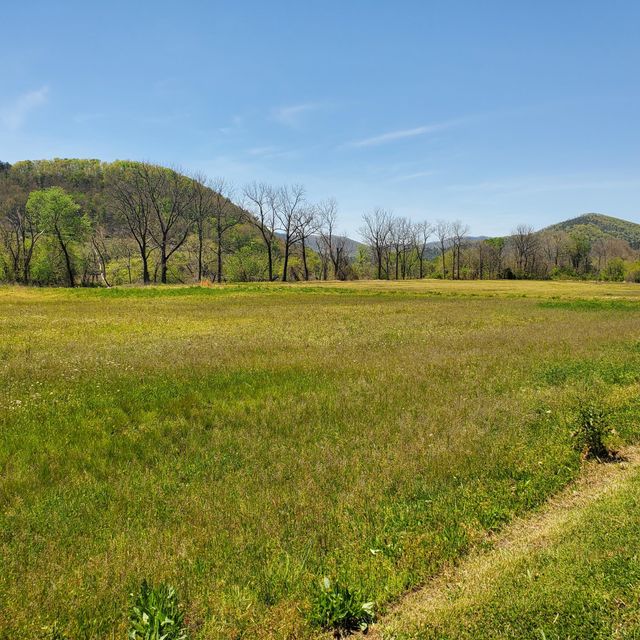 Photo #2: Lot 21 River Rapids Way