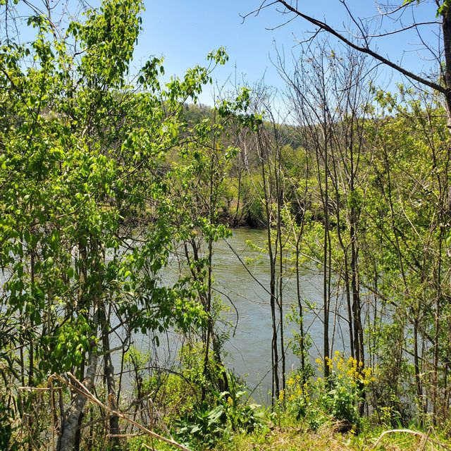 Photo #4: Lot 21 River Rapids Way