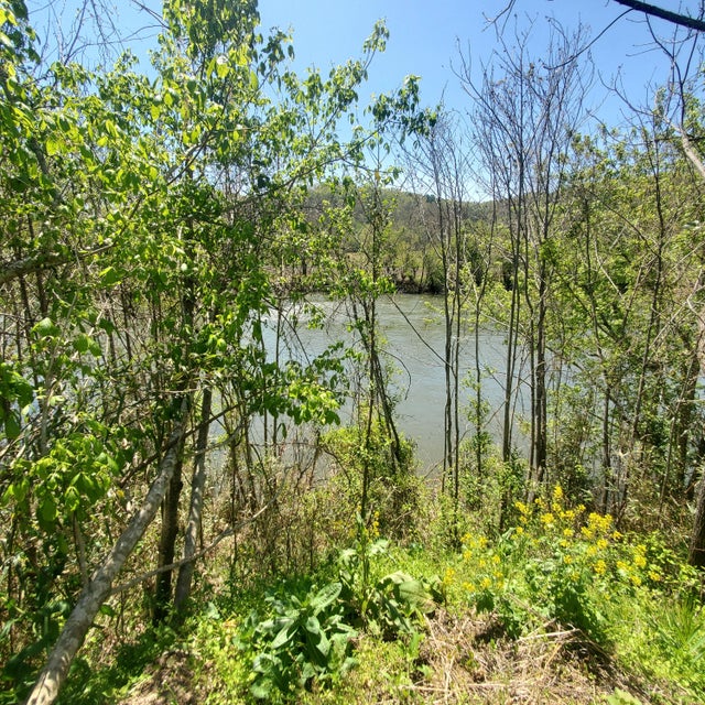 Photo #6: Lot 21 River Rapids Way