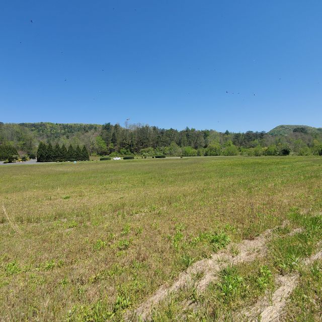 Photo #7: Lot 21 River Rapids Way