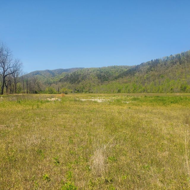Photo #20: Lot 21 River Rapids Way