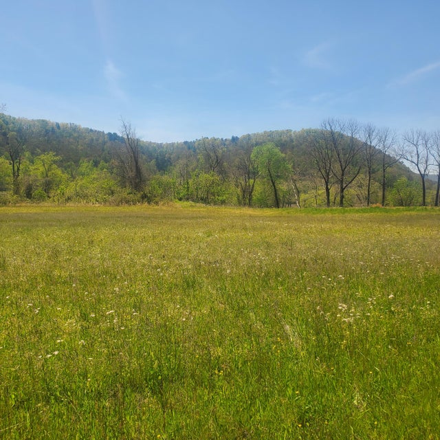 Photo #22: Lot 21 River Rapids Way
