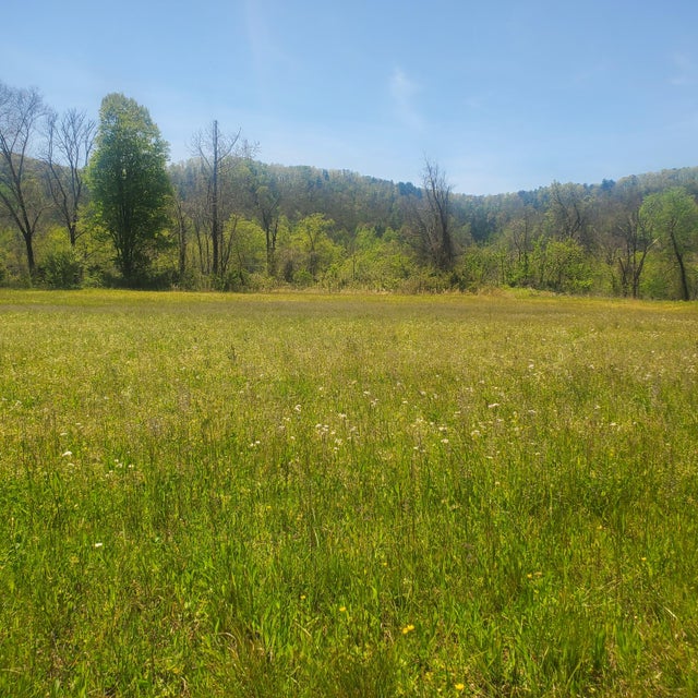 Photo #23: Lot 21 River Rapids Way