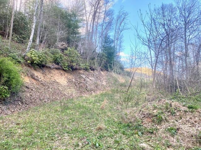 Photo #14: 146 Browns Branch Road