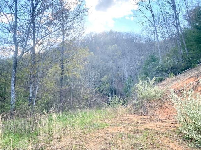 Photo #3: 146 Browns Branch Road