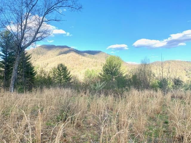 Photo #2: 146 Browns Branch Road
