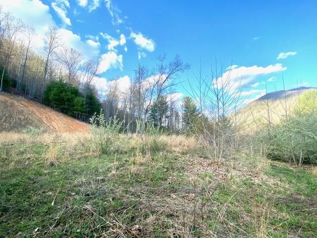 Photo #4: 146 Browns Branch Road