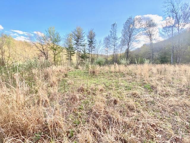Photo #7: 146 Browns Branch Road