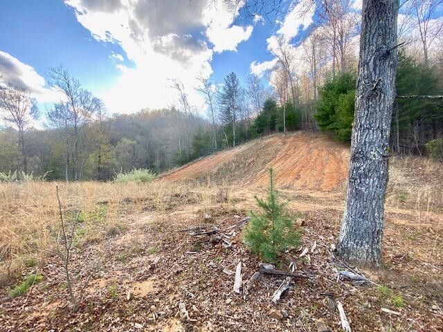 Photo #8: 146 Browns Branch Road